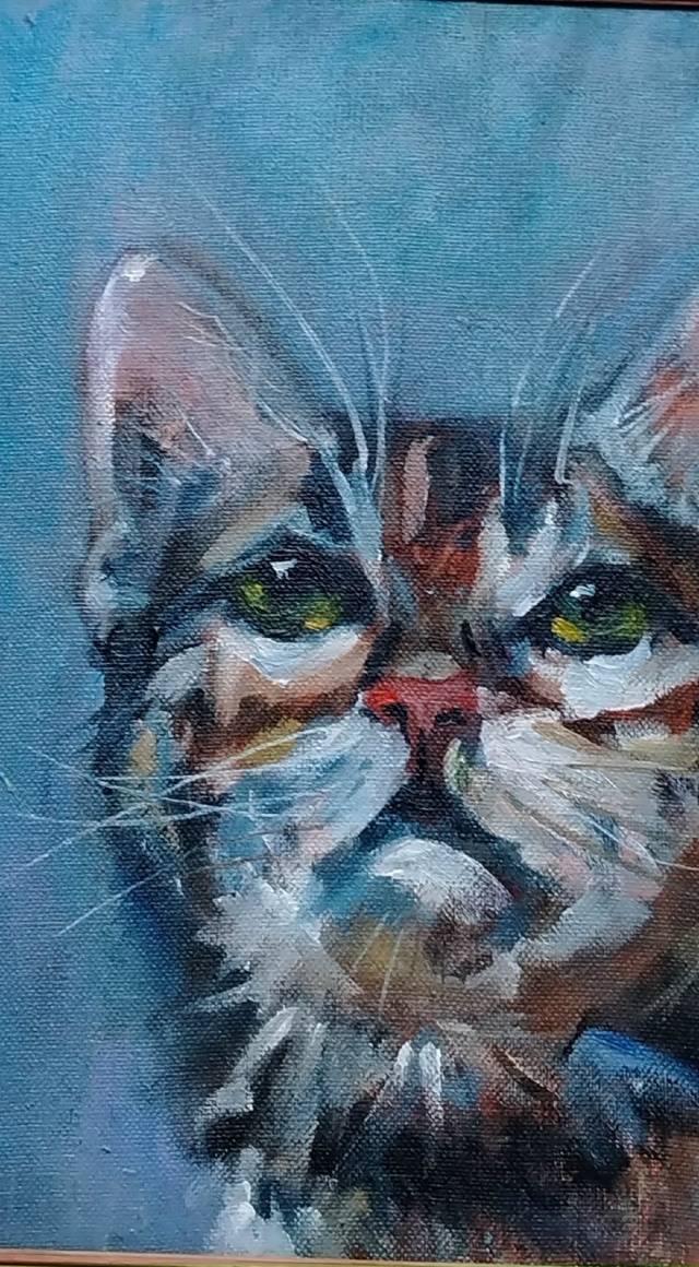 Люблю я котиков рисовать и смотреть их на вашей страни?...