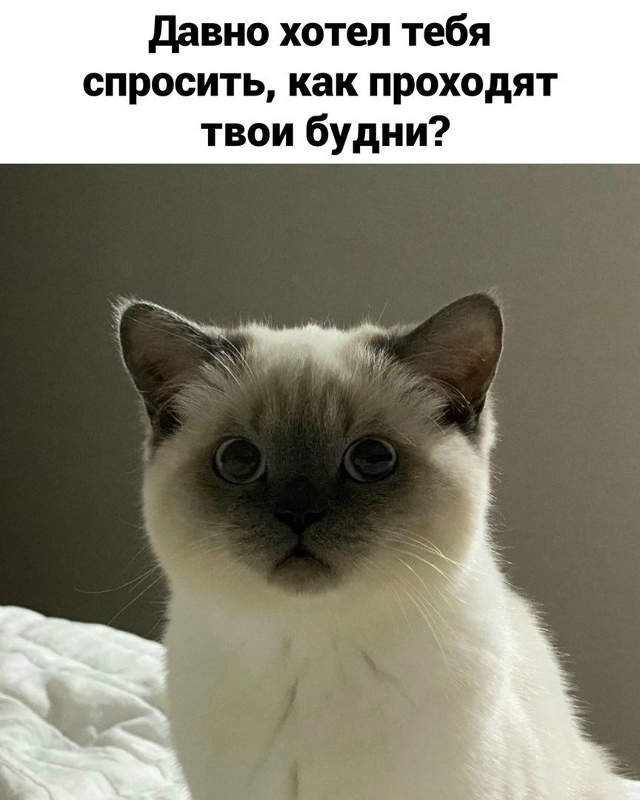 рабочие будни