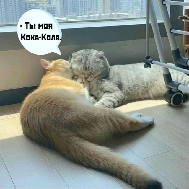 =>