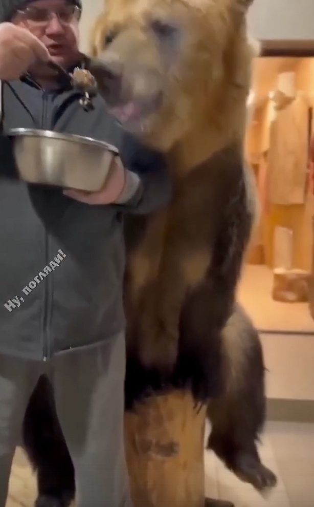 Русcкaя нeмeцкaя oвчapка
