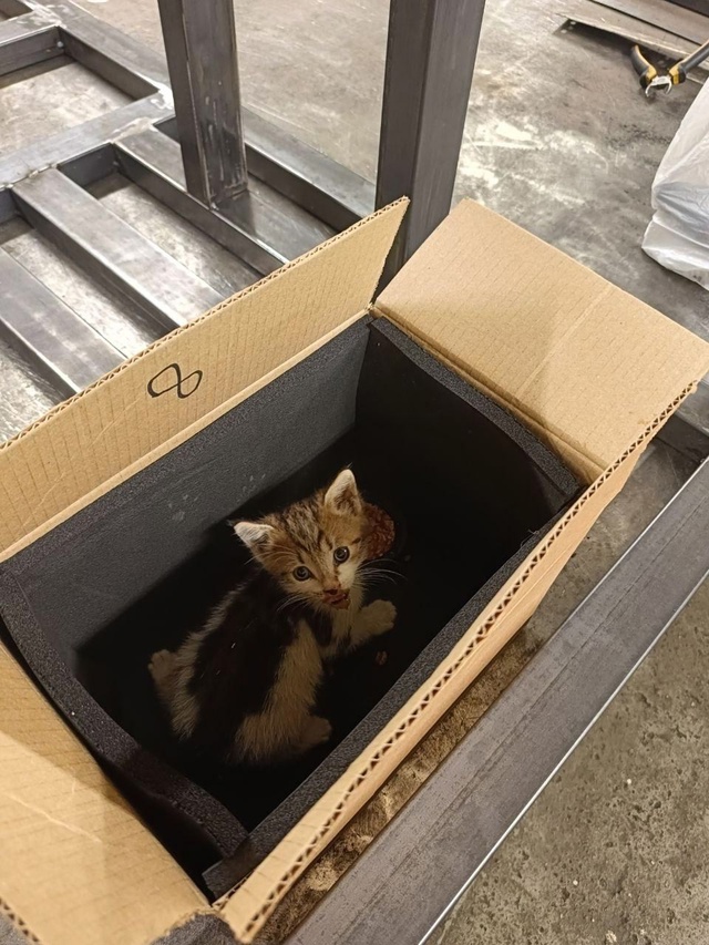 Видали, работяги? София уволилась с пыльной долбильни ?...