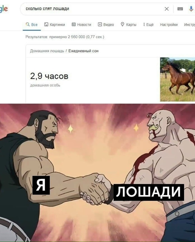А при этом ещё и пашешь как лошадь😅