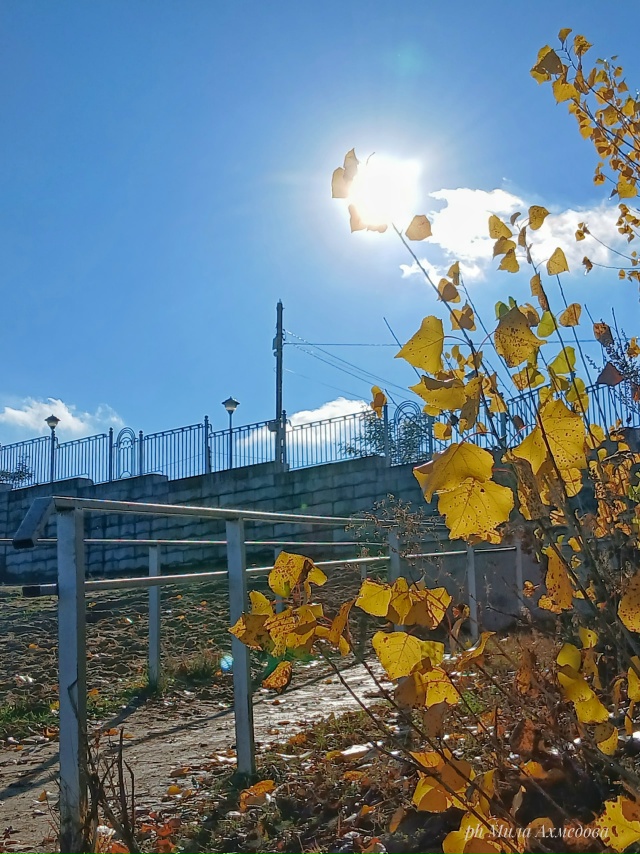 Отличная погода, 31 октября.🍁🌞