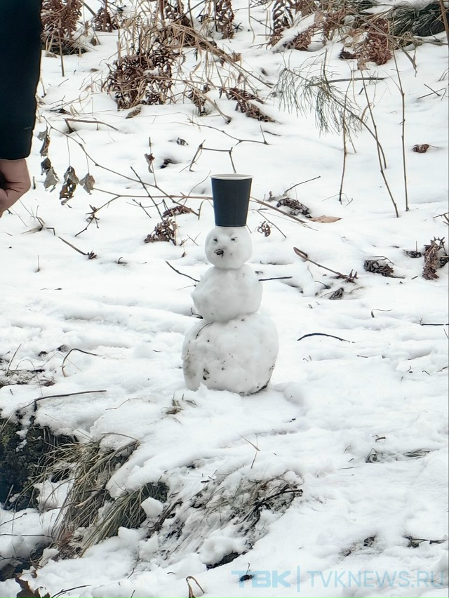 ☃️Парад снеговиков .
В эти дни снег такой липкий, поэ?...