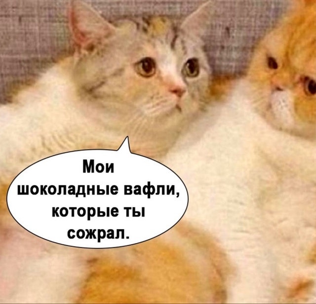 Дела семейные.