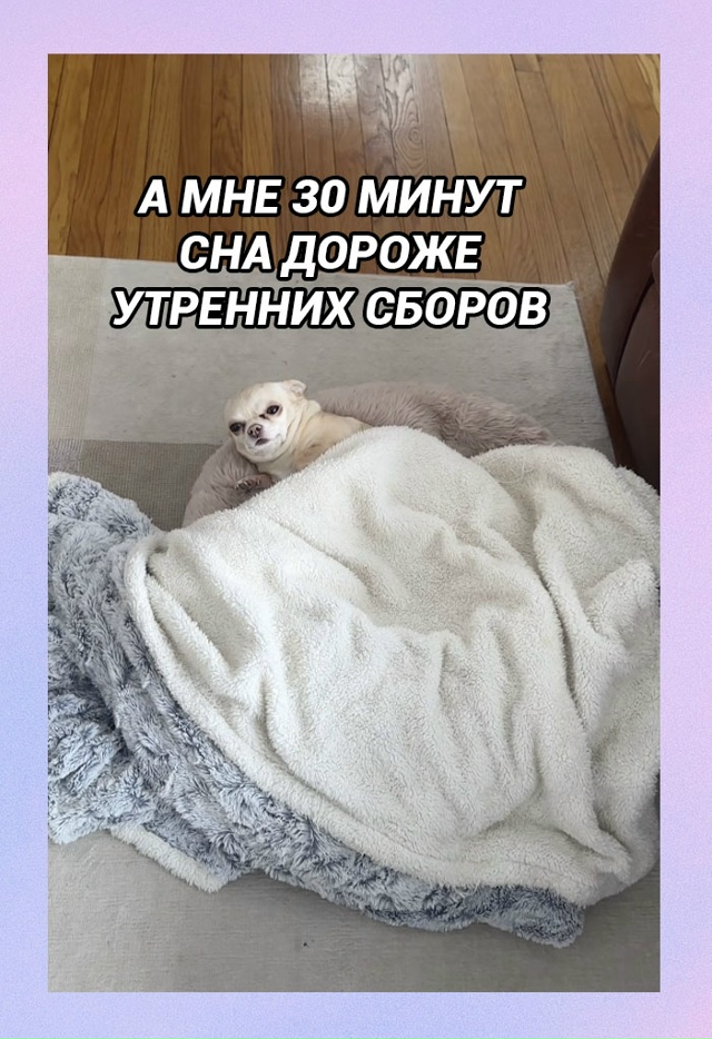 Большинство людей по утрам: успевают сходить в душ, сде...