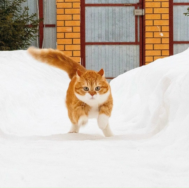 Навстречу зиме❄❄❄