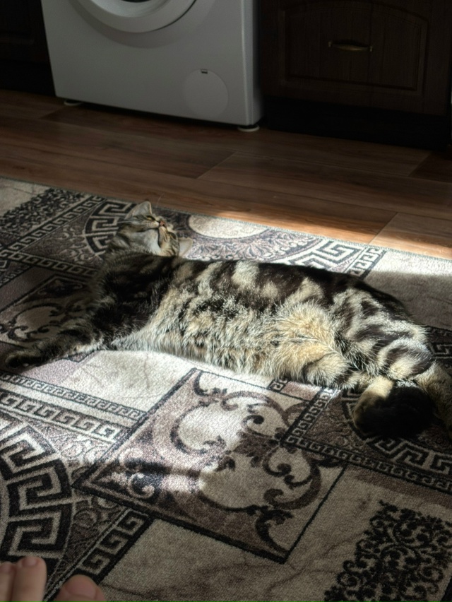 Снова Кузьма ☺️ самый любимый ❤️