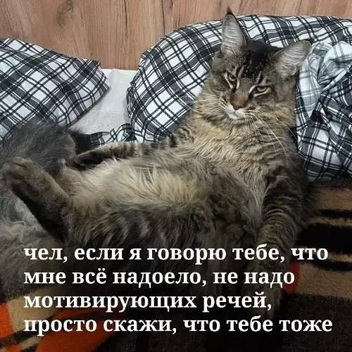 Утренняя подборочка