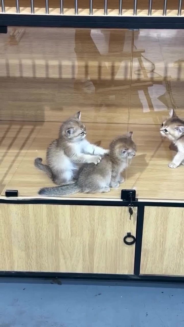Они так сильно любят друг друга.