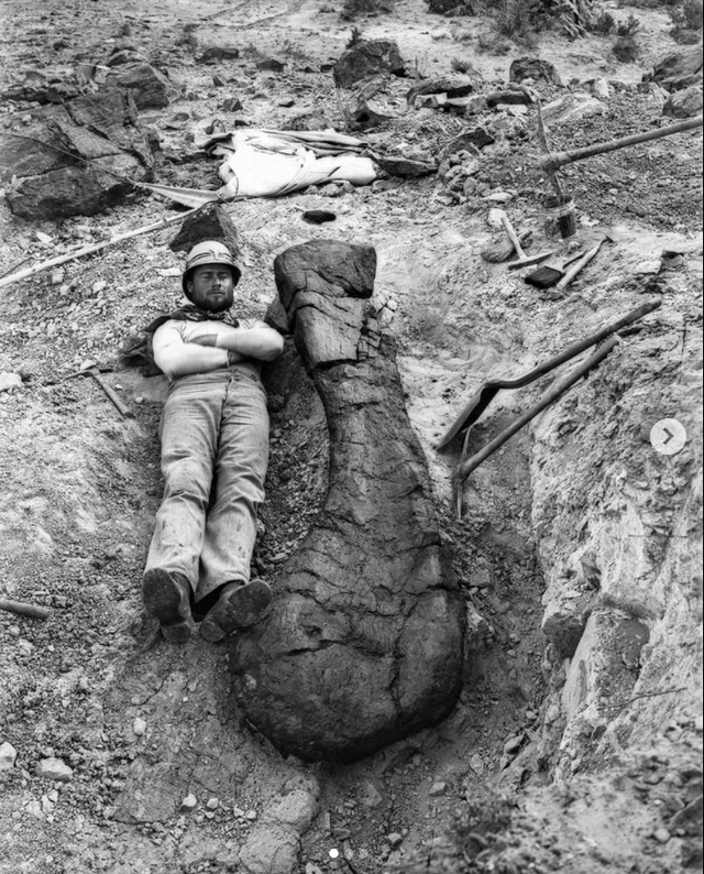 4 июля 1900 года палеонтолог полевого музея Эльмер Риггс ...