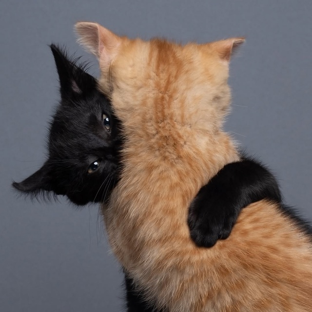 Нильс Якоби — человек с, возможно, самой завидной рабо?...