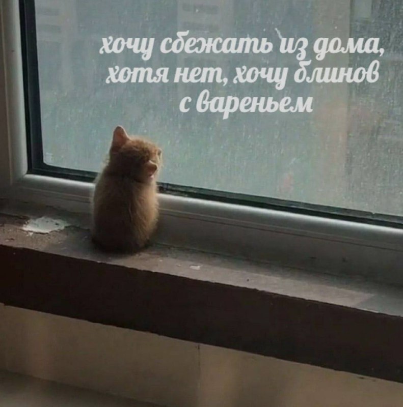 Ночная подборочка
Спать, режим