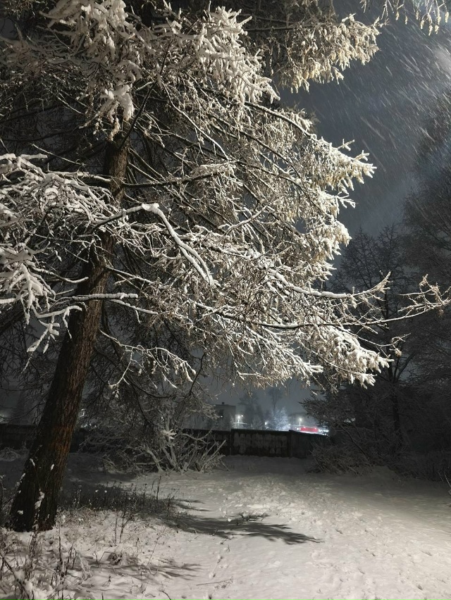 Где-то уже зима?а у нас дожди. Хотите зиму настоящую р?...