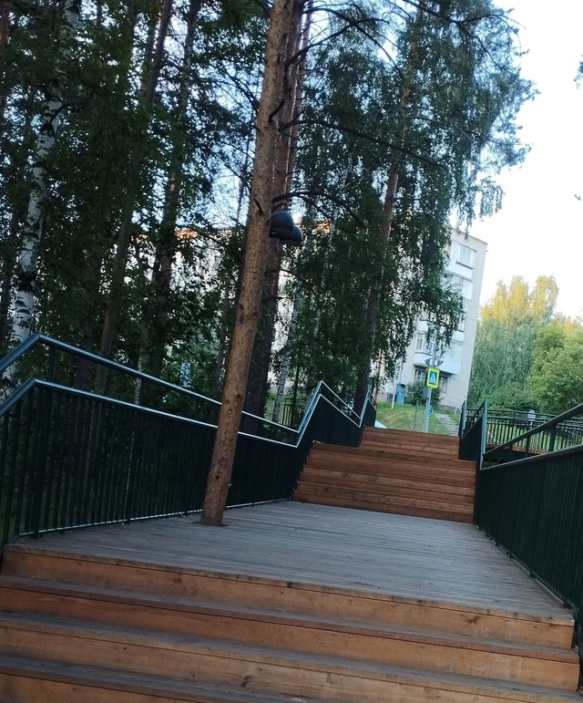 Дерево сквозь ступеньки: как можно строить, не убивая з...