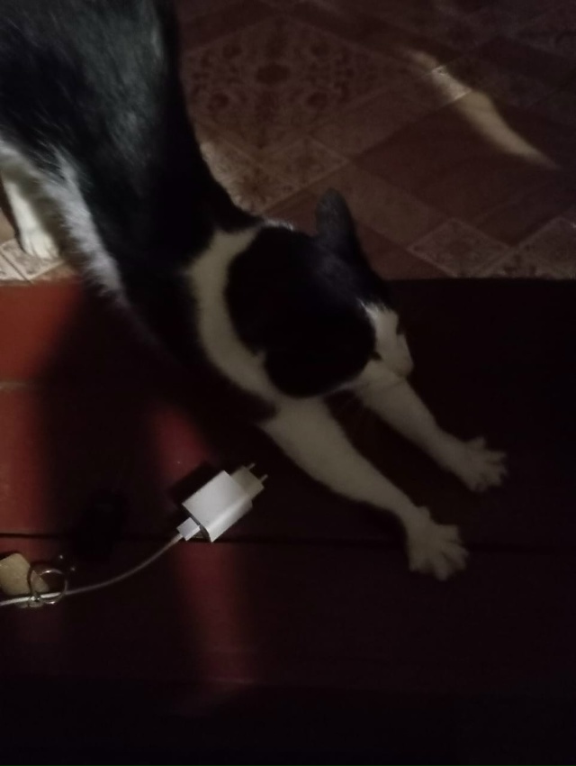 Переславль и Переславский район, давайте общими усили?...