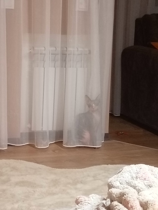 Наш первый пост)
Зайка, 6 лет, появилась почти год назад,...