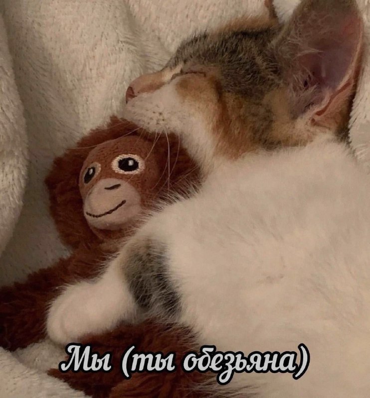 Ночная подборочка
Спать, режим