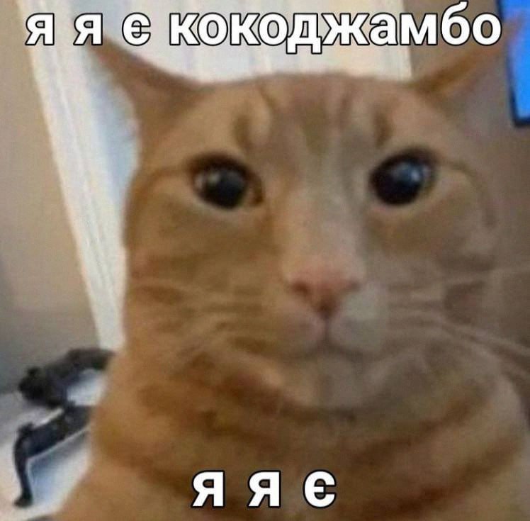 Друзья:
Я купил дом
Я женился
Я купил машину
Я: