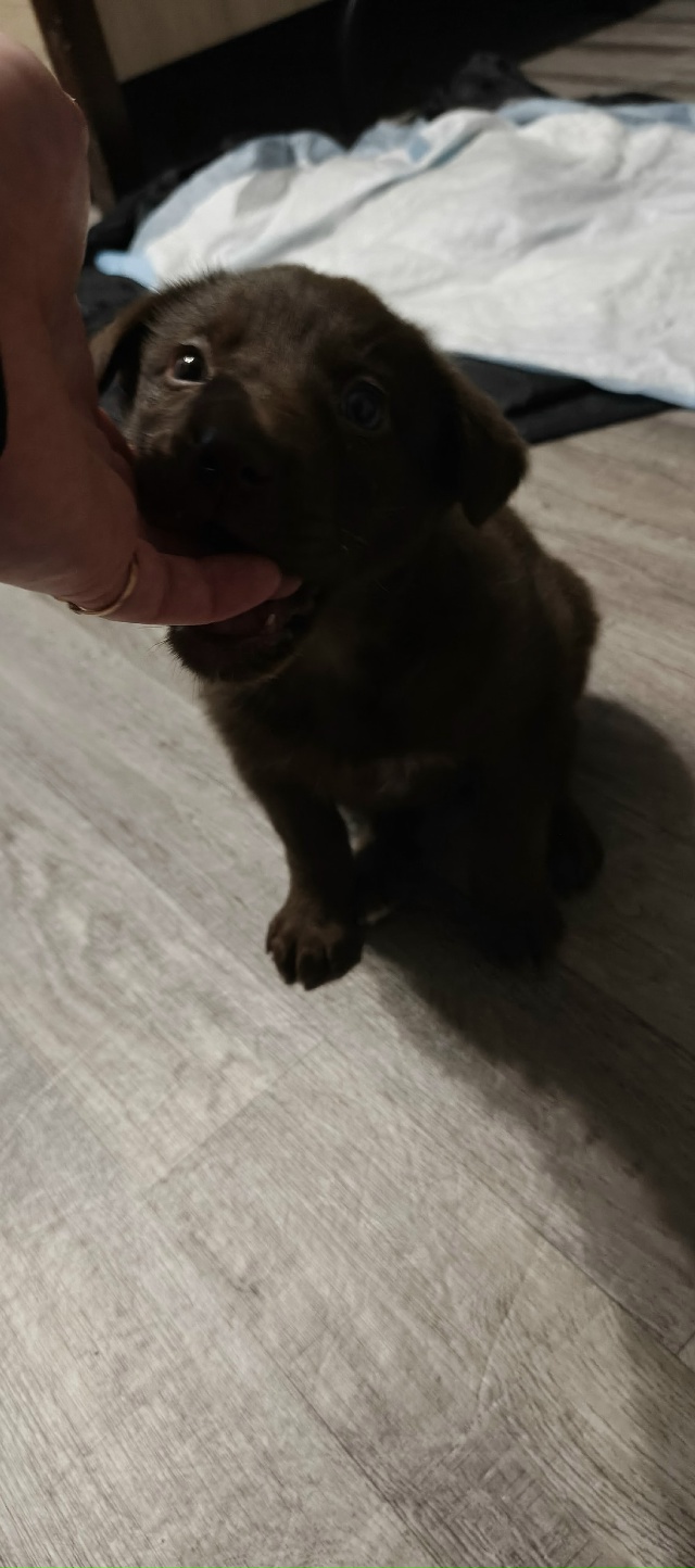 Здравствуйте!
Крики помощи!!
Добрые люди, найдитесь по?...