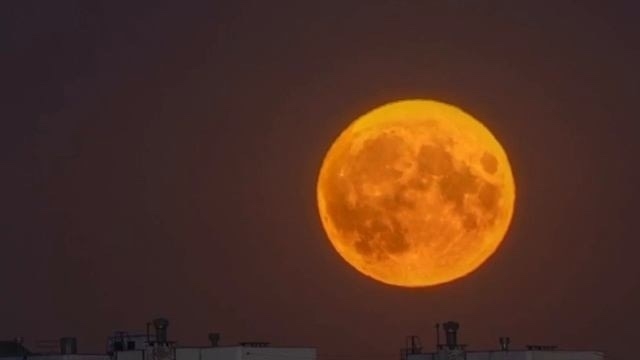 5 ноября россияне смогут увидеть Бобровое суперлуние
?...