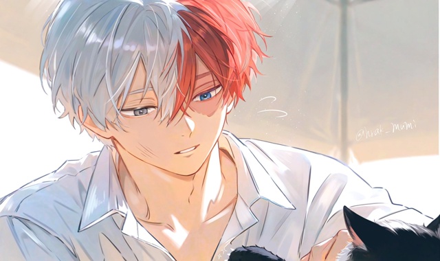 #Boku_no_Hero_Academia / Моя Геройская Академия
Тодороки Шото от...