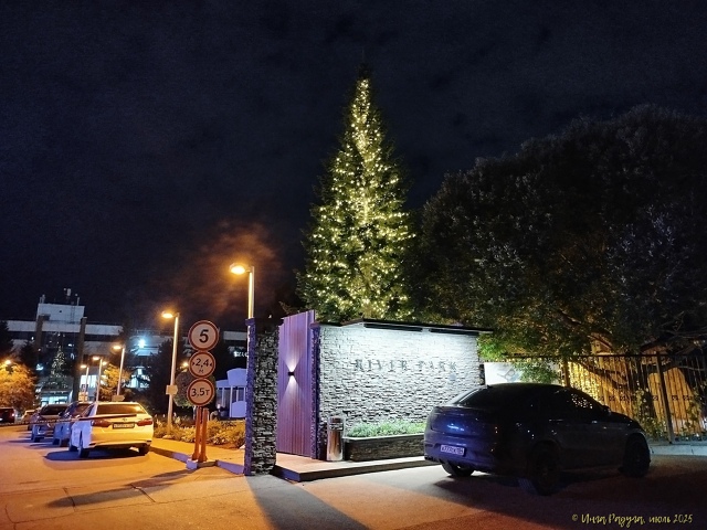 🌲 Ηoчнoй Ηoвocибиpcк