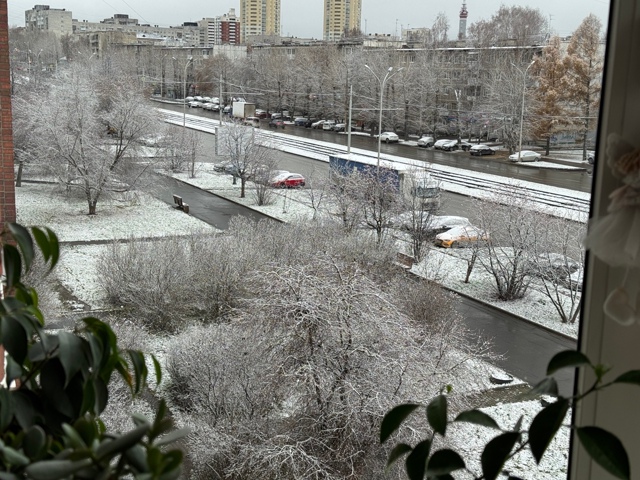 Уже захотелось достать ёлку и мандарины?
За снежные ка...