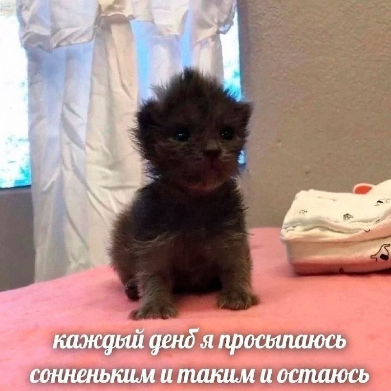 Утренняя подборочка