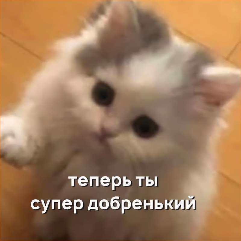 Сегодня отмечается Всемирный день доброты