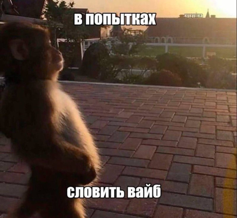 Воскресенье, объявляется всеобщая чилловая прокайфовка