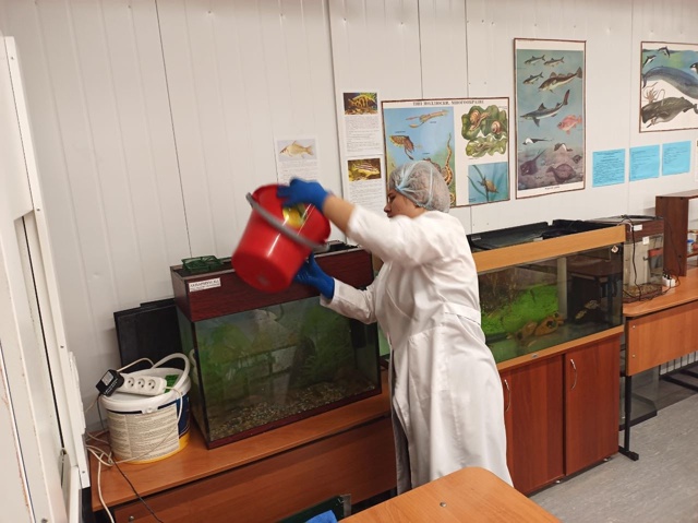 Рыбный десант. ? Наши на 