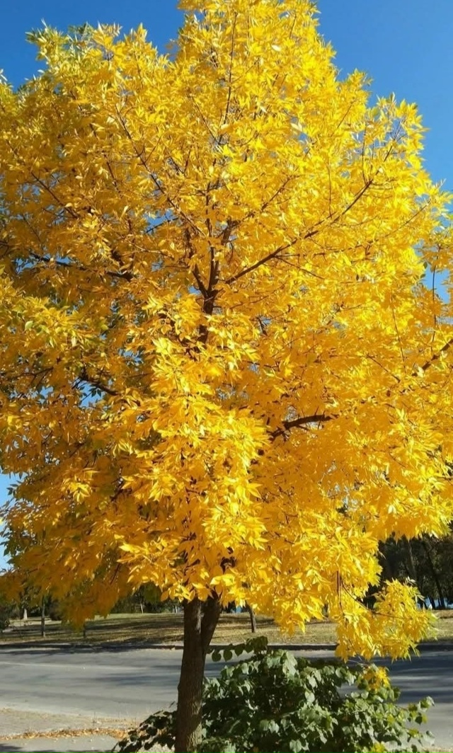 Хорошего всем дня! ???