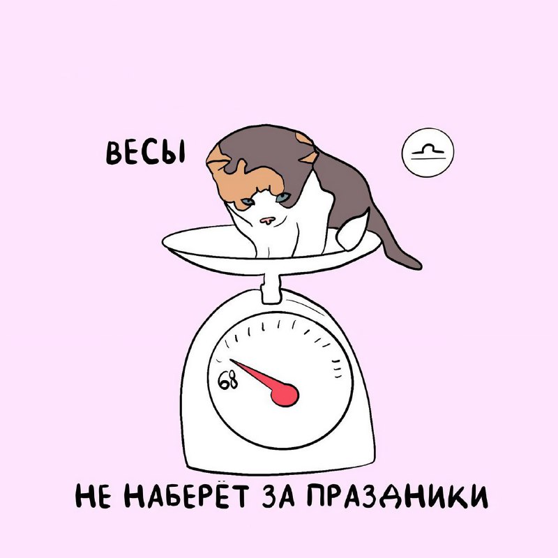 Коты-астрологи представили самые точные предсказания на 2026 год
Ищем себя, скидываем друзьяшкам