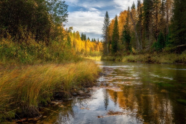 Вы только посмотрите, насколько потрясающая природа А?...