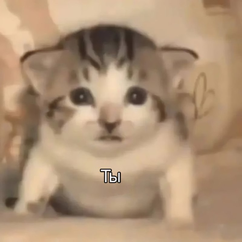 Ты знаешь, кому это отправить