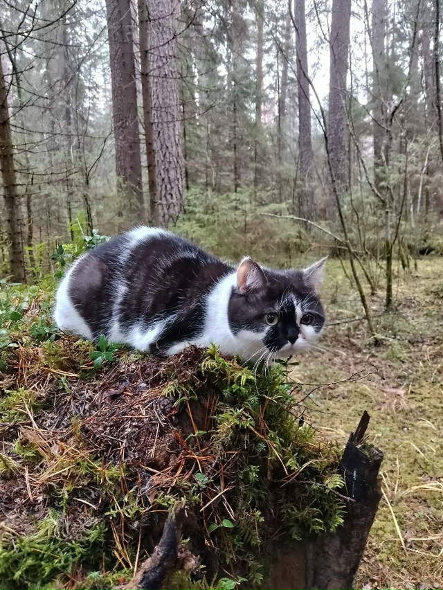 Ежедневно в 21 час по местному времени Ваши вопросы.
1⃣ ...