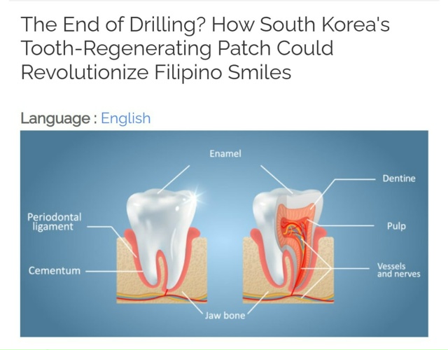 😮 Пластырь выращивает новые зубы — без уколов и пломб...