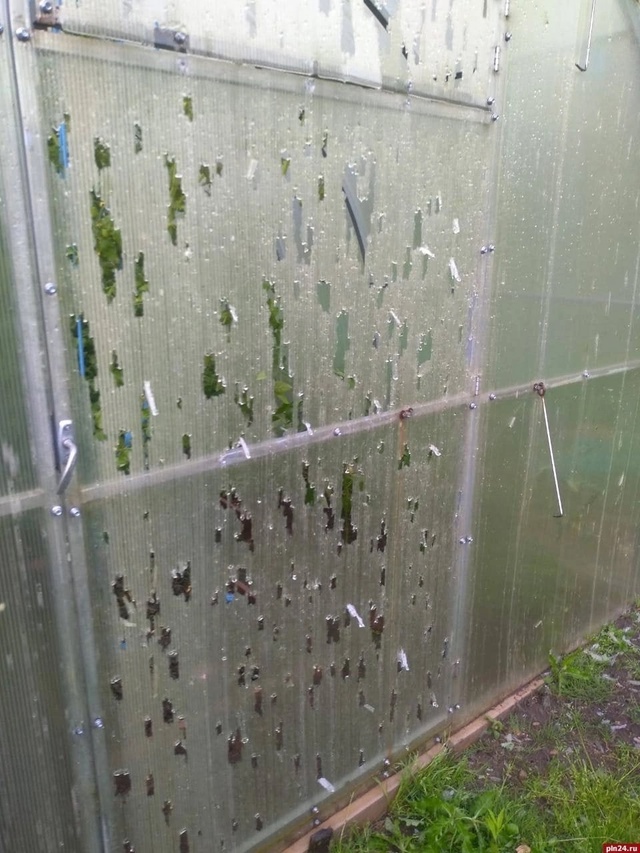 Последствия шторма в Псковской и Витебской областях
Ф...