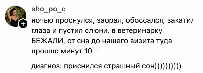 Заорал, обосрался и пустил слюни
Кожаные рассказали о самых бесполезных визитах к ветеринару. Кажда