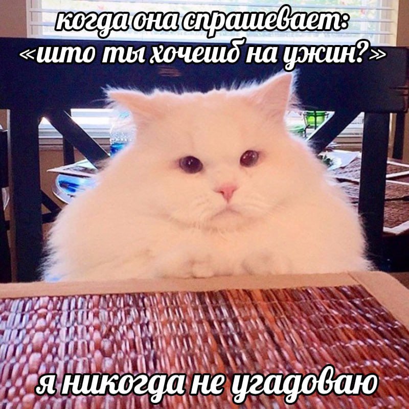 Утренняя подборочка