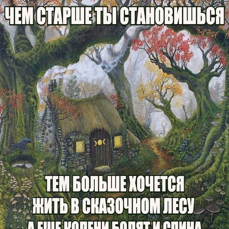 Утренняя подборочка