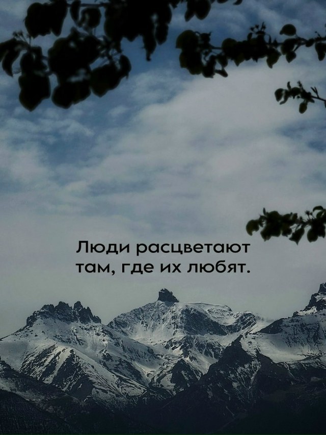 Сильные цитаты...