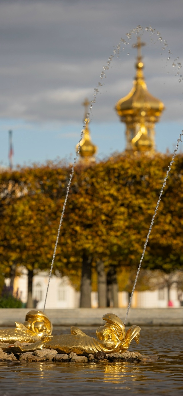 Заставки для ваших телефонов / ноябрь🍂
Источник: peterhof...