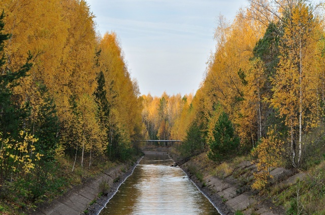 Золотая Осень на воде🍂🍁
Фото: Андрей Колегов