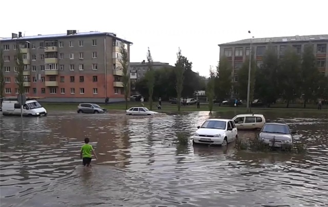 Нежелание работать в дождь — это не лень, а чистая биол...