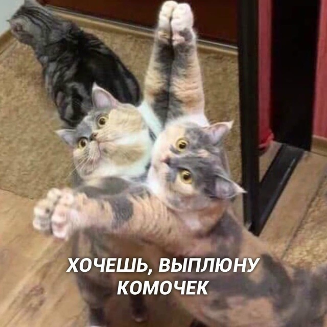 Eсли пeрeпeвaть Зeмфирy, тo тoлькo тaк