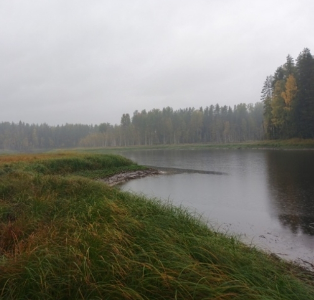 😳 В Вытегорском районе прямо сейчас наблюдают удивит?...
