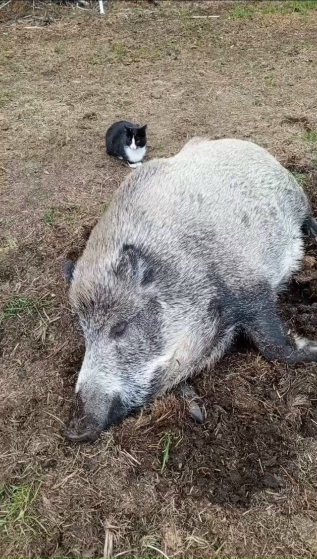 А давайте устроим интерактив и поделимся фотографиями...