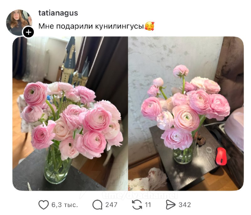 На самом деле это ранункулюсы, но не будем портить ей настроение